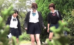 Japanese Urinates In Park