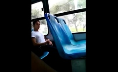 Horny Bus