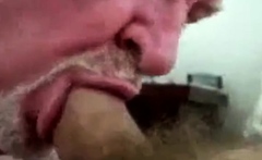 Daddy Bear Sucking Cock