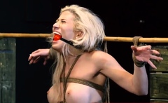 Bondage slave fisting xxx Big-breasted blond hotty Cristi An